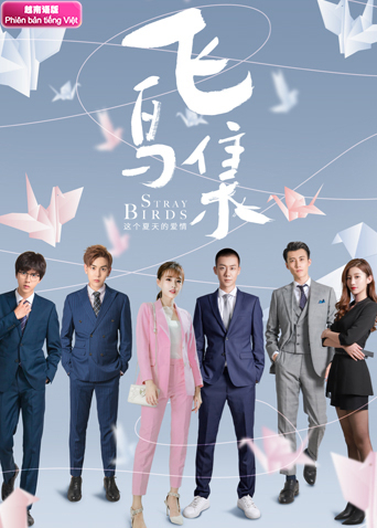 飞鸟集越南语版封面图