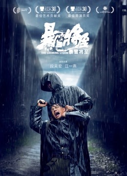 暴雪将至封面图