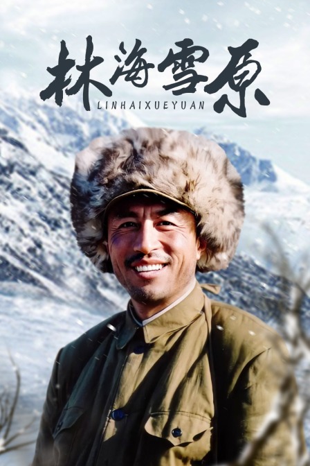林海雪原封面图