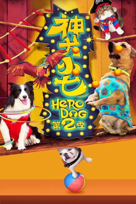 神犬小七 第二季封面图