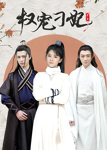 权宠刁妃封面图