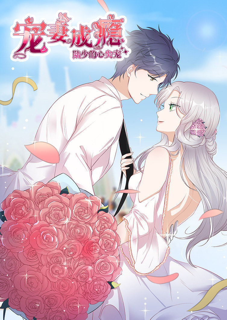 宠妻成瘾：陆少的心尖宠封面图