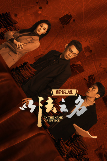 以法之名解说版封面图