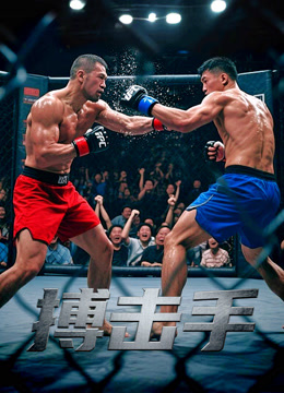 搏击手封面图