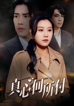 真心何所付封面图