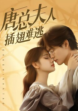 唐总夫人插翅难逃封面图