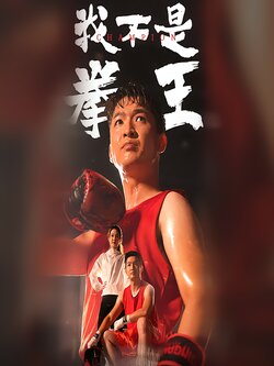 我不是拳王封面图